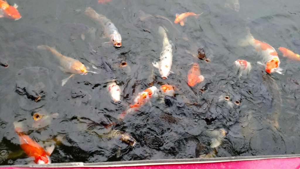 img_20161007_170943765