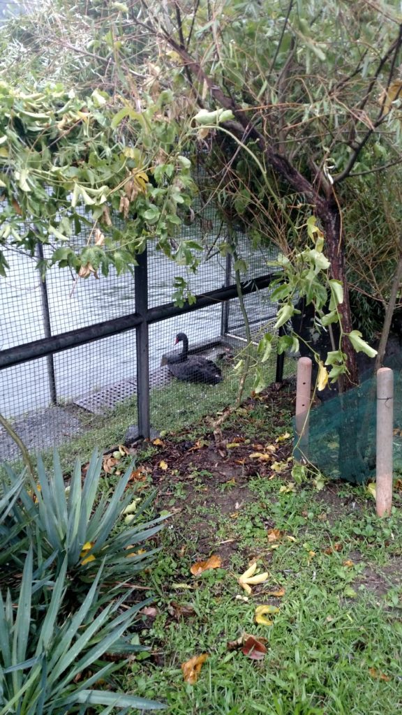 img_20161007_171659581