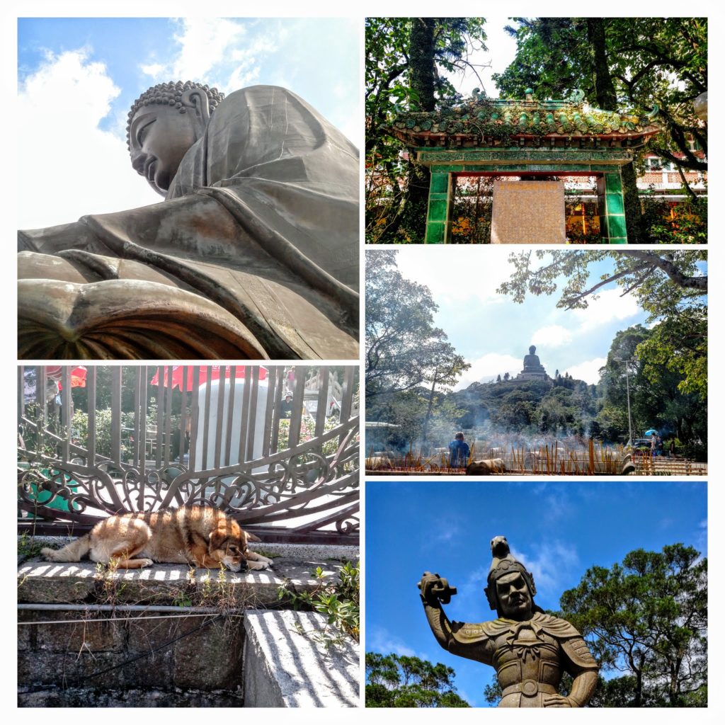 img_20161013_130207797-collage