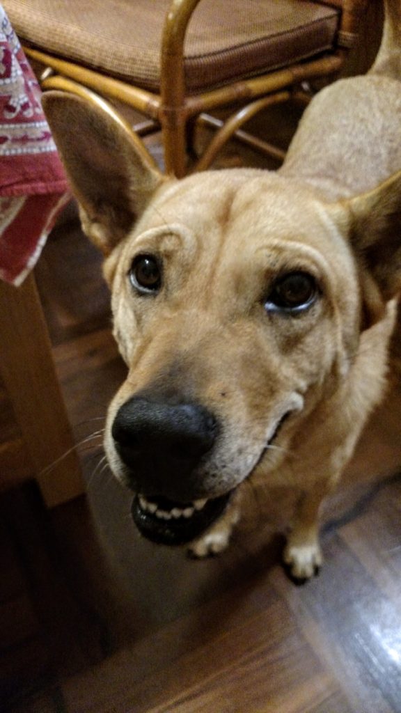 img_20161018_222628227