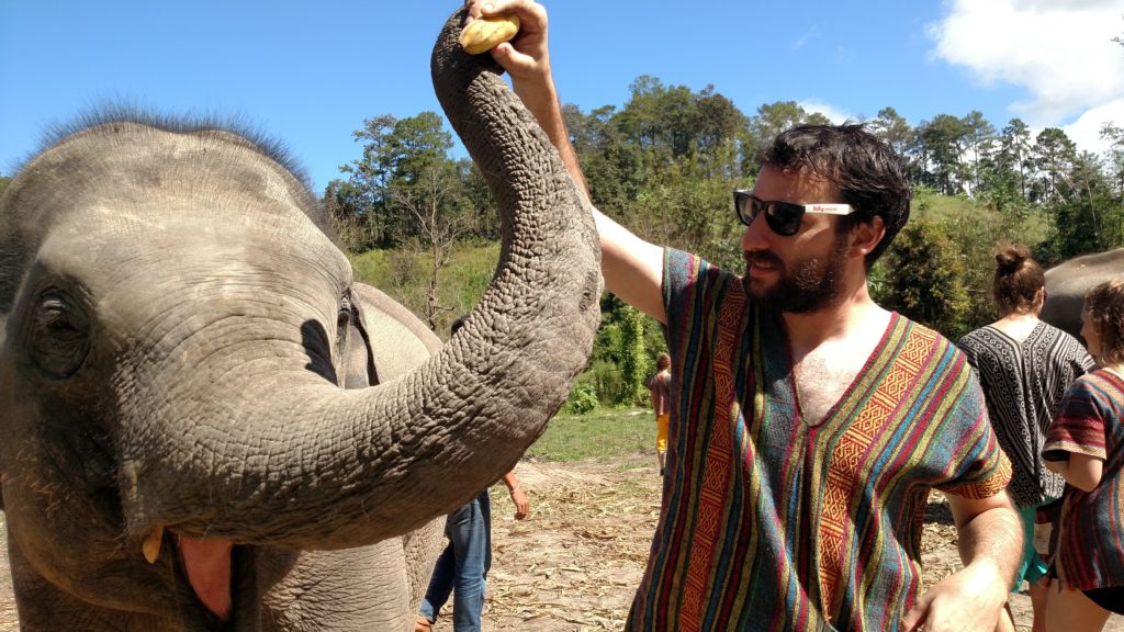 img_20161104_111239746