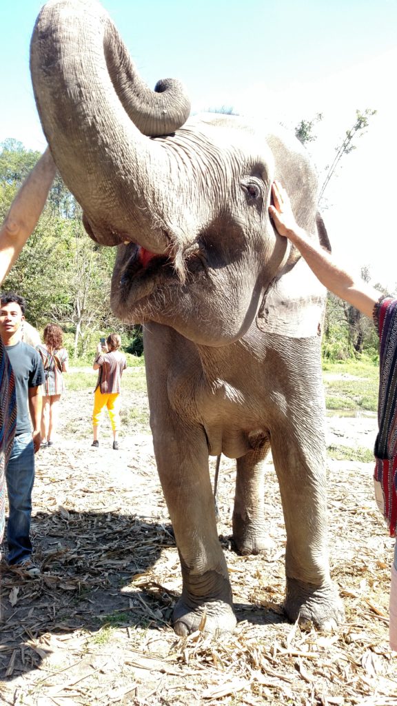 img_20161104_111427064