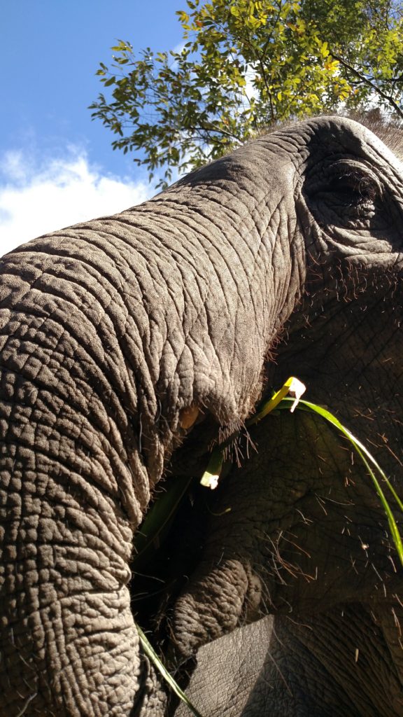 img_20161104_115429464