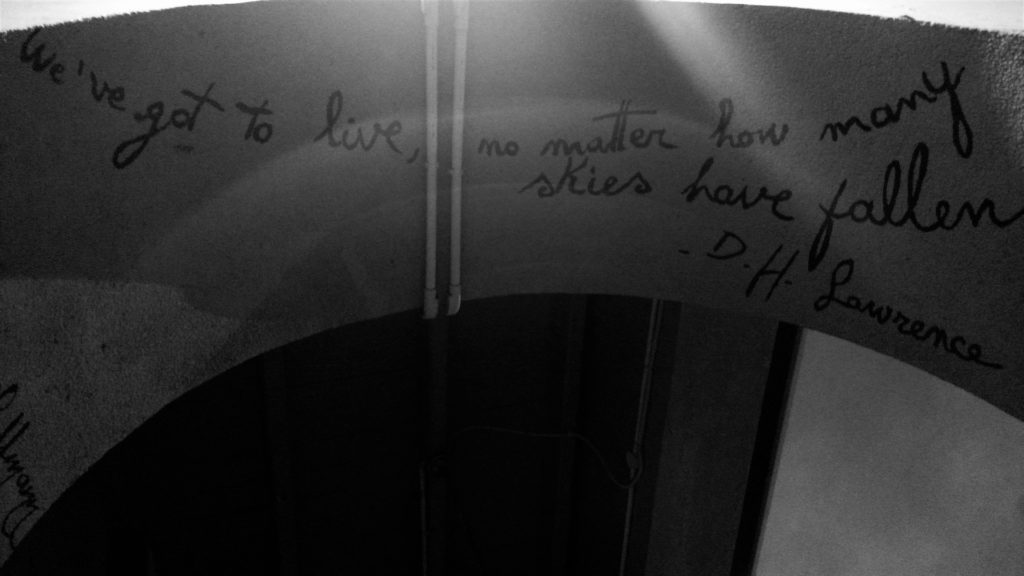 img_20161123_1931639834