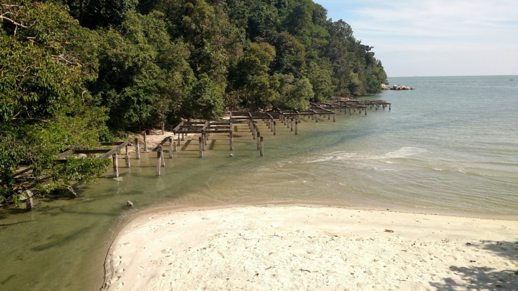 img_20161126_102811385